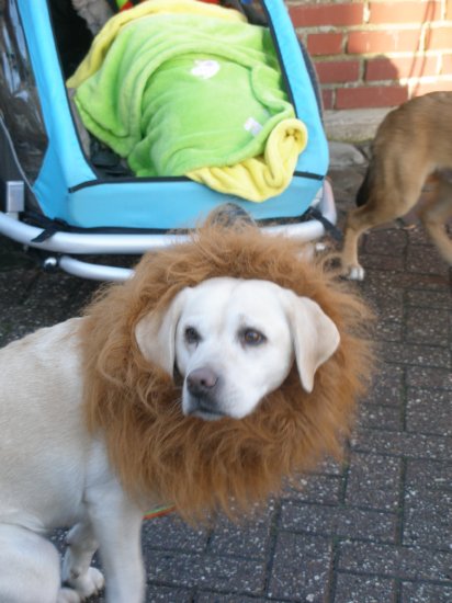 Rosenmontag 2018 (250).JPG